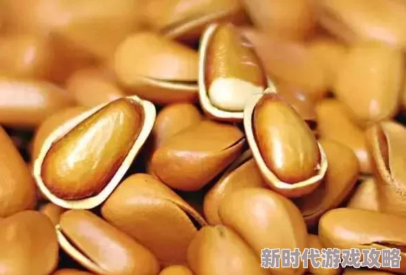 我的世界禁忌之果全面爆料:神秘功能、获取方式及效果深度解析 我的世界禁忌之果全面爆料:神秘功能、获取方式及效果深度解析