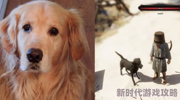 2025年神界原罪2深度攻略:第四章猫咪的宝藏支线任务详解大全 2025年神界原罪2深度攻略:第四章猫咪的宝藏支线任务详解大全
