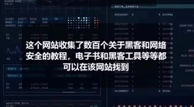 2025年热门指南：探索外域裁缝技艺，最新学习地点与在线课程推荐