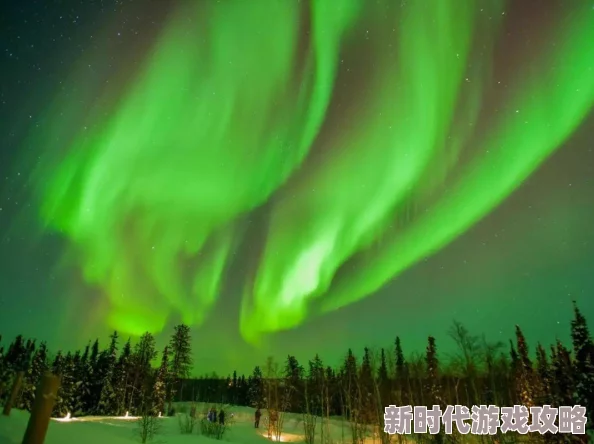 2025年热门荒野星球游戏入门+生存玩法全攻略：新手必看图文教程